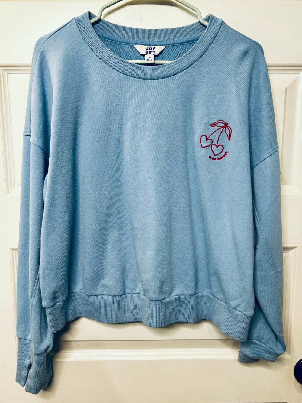 Mon Amour 🍒 Cherry Embroidery Sweatshirt - JoyLab - Baby Blue/Red - M